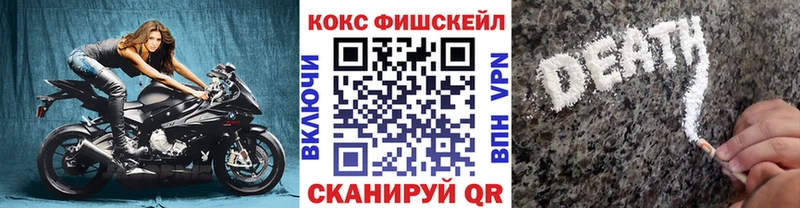 Кокаин Эквадор где можно купить наркотик Кунгур
