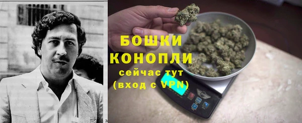 ГАЛЛЮЦИНОГЕННЫЕ ГРИБЫ Зерноград