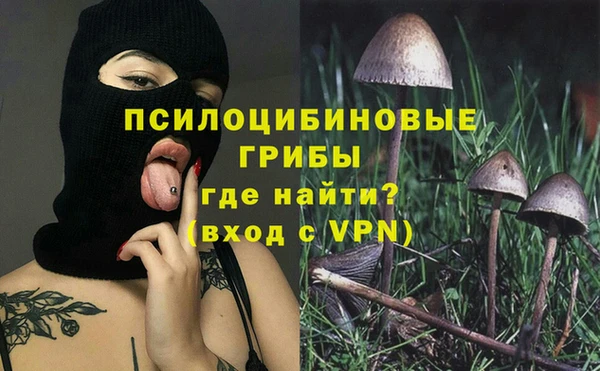 мет Балахна